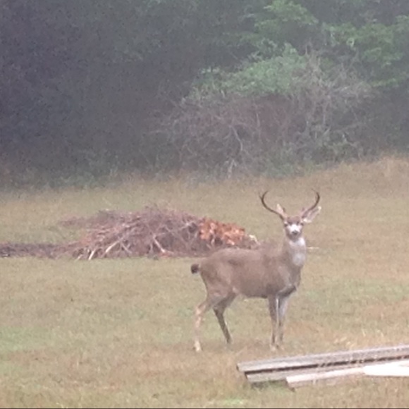 Meet your Posher, Jennifer - Picture 2 of 8